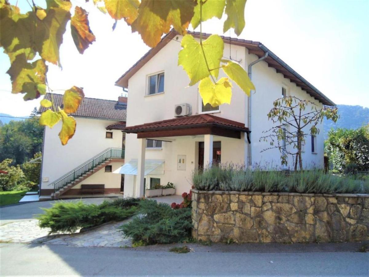 Apartma Gorjan 톨민 외부 사진