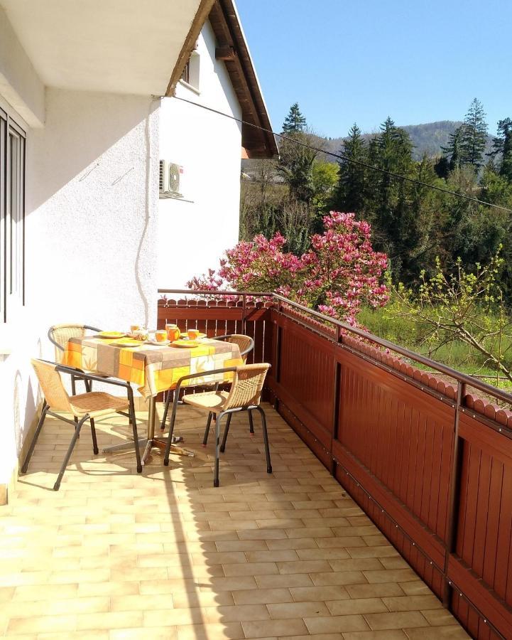 Apartma Gorjan 톨민 외부 사진