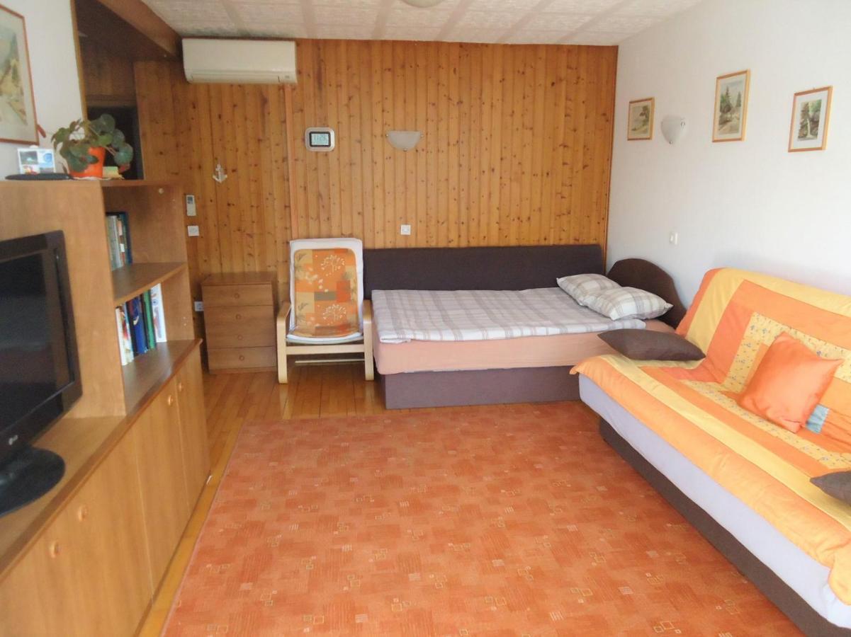 Apartma Gorjan 톨민 외부 사진